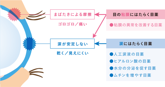 点眼 薬 ジクアス